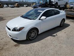 Salvage cars for sale at Harleyville, SC auction: 2009 Scion TC