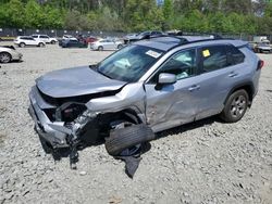 Salvage cars for sale from Copart Waldorf, MD: 2023 Toyota Rav4 XLE