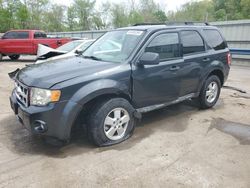 Salvage cars for sale at Ellwood City, PA auction: 2009 Ford Escape XLT