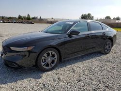 Salvage cars for sale at Mentone, CA auction: 2023 Honda Accord EX
