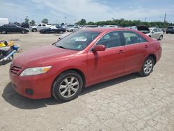 Salvage cars for sale at Indianapolis, IN auction: 2010 Toyota Camry Base