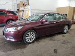 Honda Accord ex salvage cars for sale: 2015 Honda Accord EX