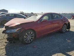 Salvage cars for sale at auction: 2019 Lexus ES 350