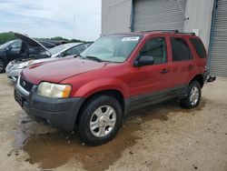 Salvage cars for sale at Memphis, TN auction: 2003 Ford Escape XLT