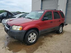 Ford Vehiculos salvage en venta: 2003 Ford Escape XLT