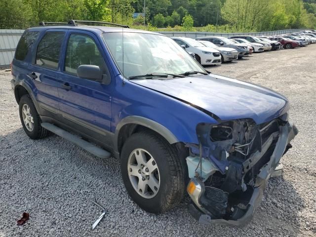 2005 Ford Escape XLT