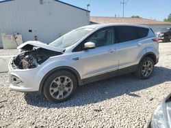 Salvage cars for sale from Copart Columbus, OH: 2013 Ford Escape SEL