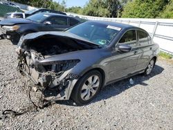 Salvage cars for sale at Riverview, FL auction: 2008 Honda Accord EXL