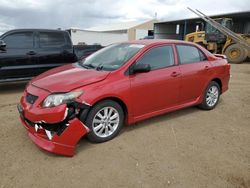 Salvage cars for sale from Copart Brighton, CO: 2009 Toyota Corolla Base