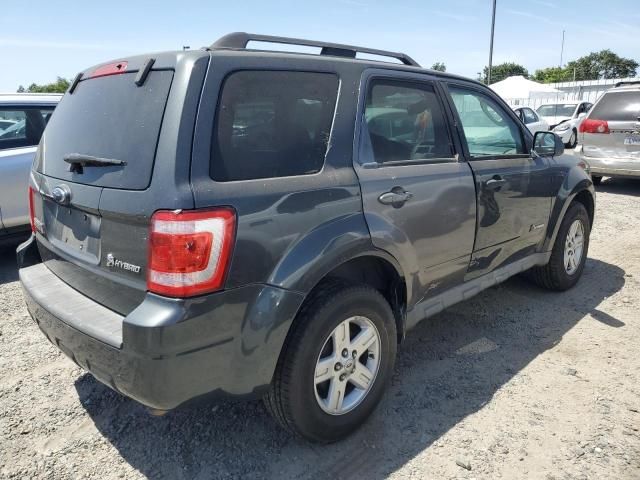 2009 Ford Escape Hybrid