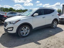 Hyundai Santa fe Sport salvage cars for sale: 2013 Hyundai Santa FE Sport