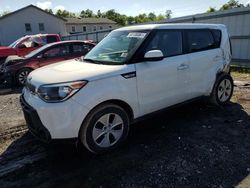Salvage cars for sale at York Haven, PA auction: 2016 KIA Soul
