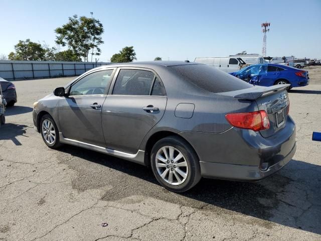 2010 Toyota Corolla Base