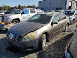 Salvage cars for sale from Copart Vallejo, CA: 2006 Nissan Maxima SE