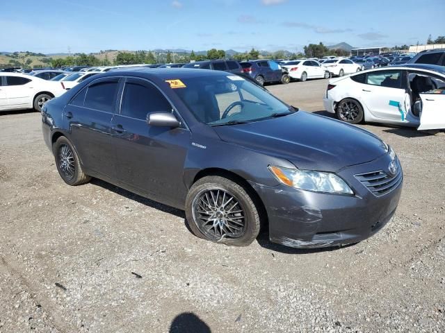 2008 Toyota Camry Hybrid