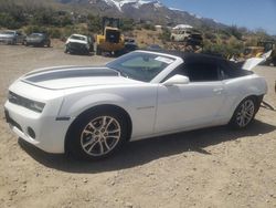 Salvage cars for sale at Reno, NV auction: 2013 Chevrolet Camaro LT