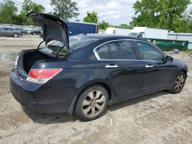 2010 Honda Accord EXL