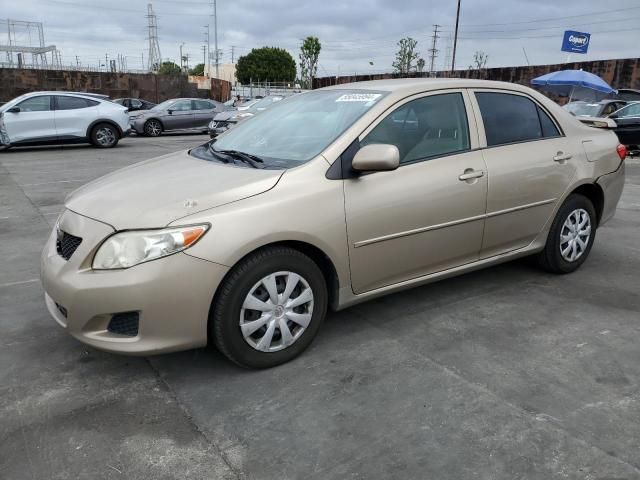 2010 Toyota Corolla Base