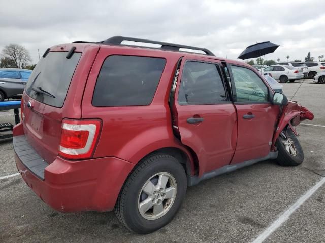 2008 Ford Escape XLT