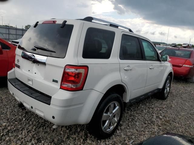 2012 Ford Escape Limited