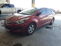 Salvage cars for sale at Tucson, AZ auction: 2014 Hyundai Elantra SE