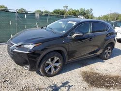 Salvage cars for sale from Copart Riverview, FL: 2017 Lexus NX 200T Base