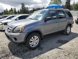 Salvage cars for sale at Graham, WA auction: 2005 Honda CR-V SE