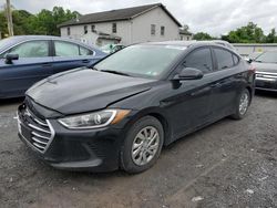 Salvage cars for sale at York Haven, PA auction: 2017 Hyundai Elantra SE
