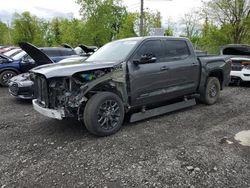 Salvage cars for sale from Copart Marlboro, NY: 2023 Toyota Tundra Crewmax Platinum