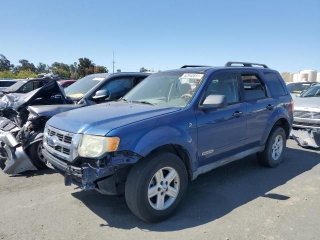 2008 Ford Escape HEV