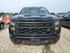 2023 Chevrolet Silverado K1500 Trail Boss Custom