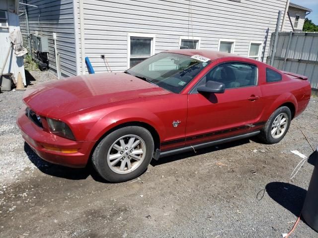 2009 Ford Mustang