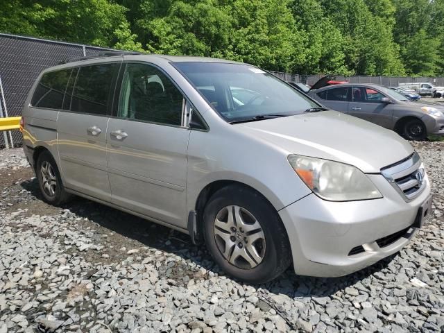 2005 Honda Odyssey EXL