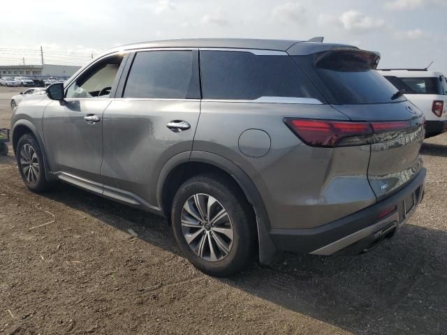 2023 Infiniti QX60 Pure