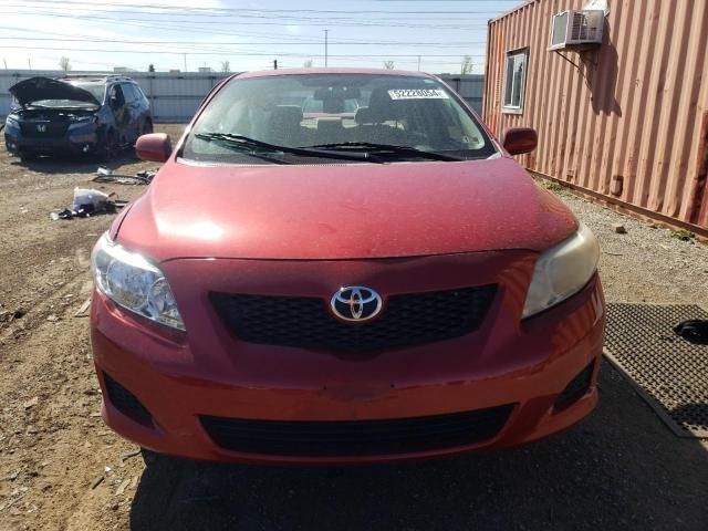 2010 Toyota Corolla Base