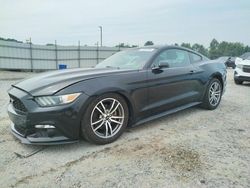 Salvage cars for sale at Lumberton, NC auction: 2015 Ford Mustang