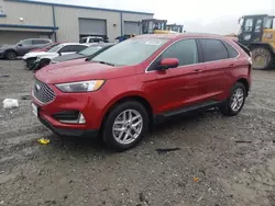 Salvage cars for sale at Earlington, KY auction: 2024 Ford Edge SEL