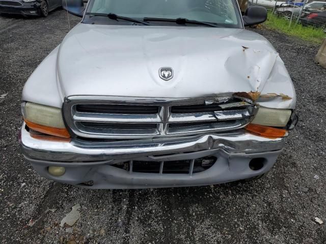 2004 Dodge Dakota Quad SLT