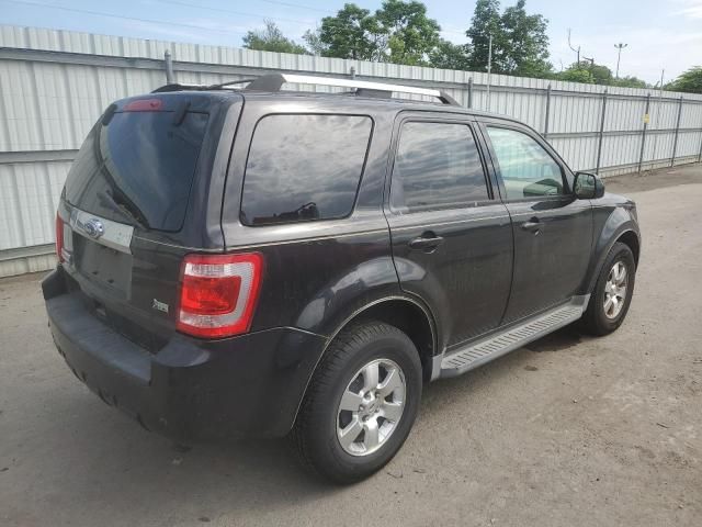 2011 Ford Escape Limited