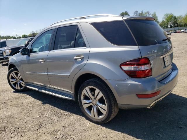 2010 Mercedes-Benz ML 350