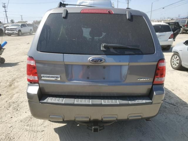 2009 Ford Escape XLT