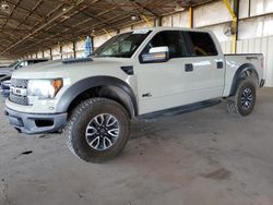 Salvage cars for sale from Copart Phoenix, AZ: 2013 Ford F150 SVT Raptor