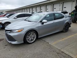 Salvage cars for sale from Copart Louisville, KY: 2019 Toyota Camry L