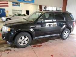 Salvage cars for sale at Angola, NY auction: 2010 Ford Escape XLT