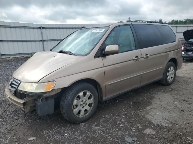 2003 Honda Odyssey EXL