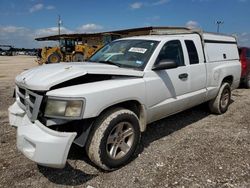 Salvage cars for sale at Temple, TX auction: 2011 Dodge Dakota SLT