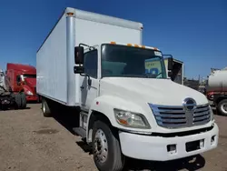 Salvage trucks for sale at Phoenix, AZ auction: 2009 Hino 258 268