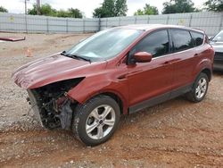Salvage cars for sale at Oklahoma City, OK auction: 2014 Ford Escape SE