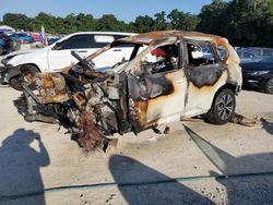 Salvage cars for sale at Ocala, FL auction: 2023 Nissan Rogue SV