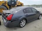 2007 Nissan Maxima SE